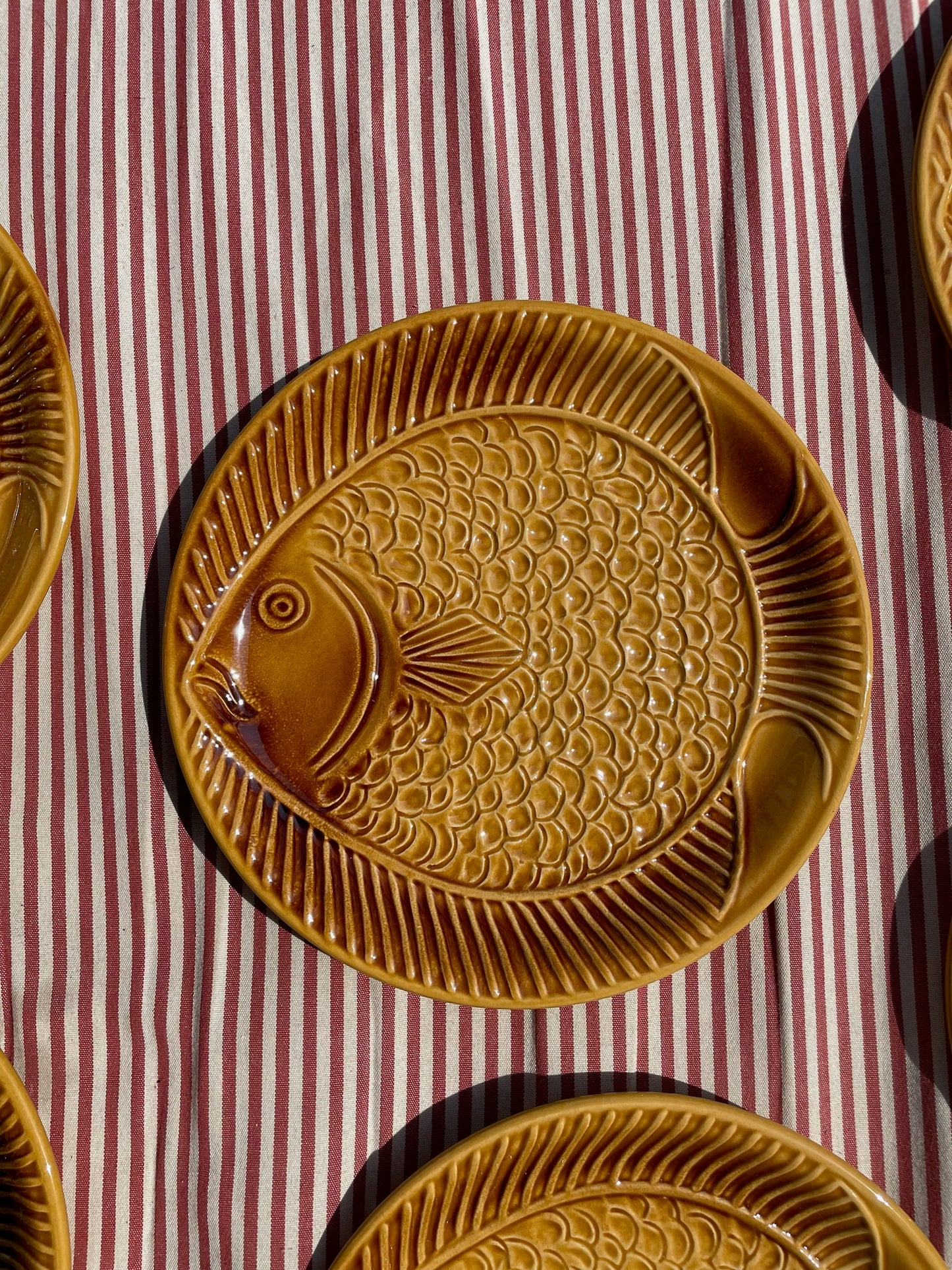 Brown the fish plate