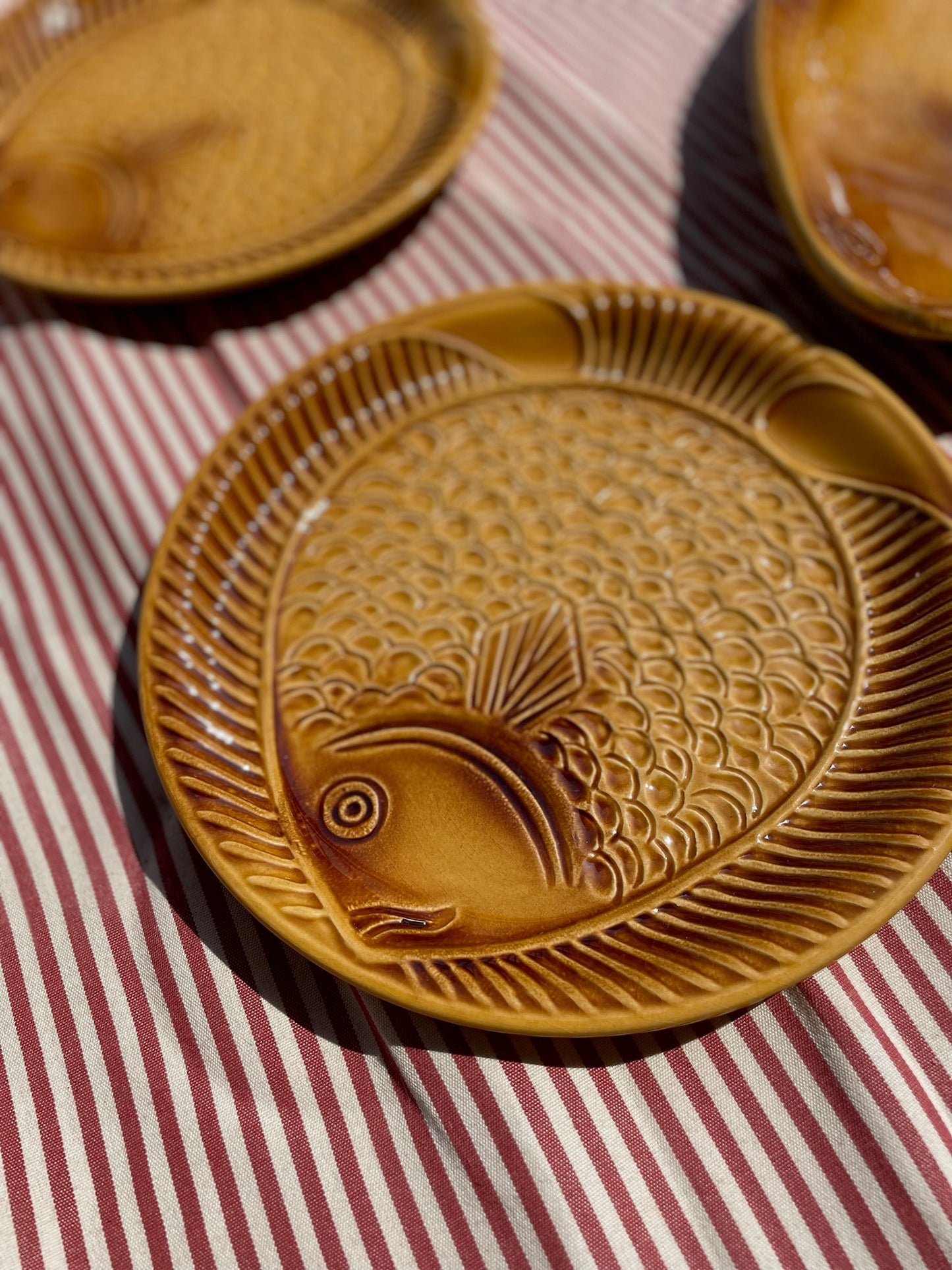 Brown the fish plate