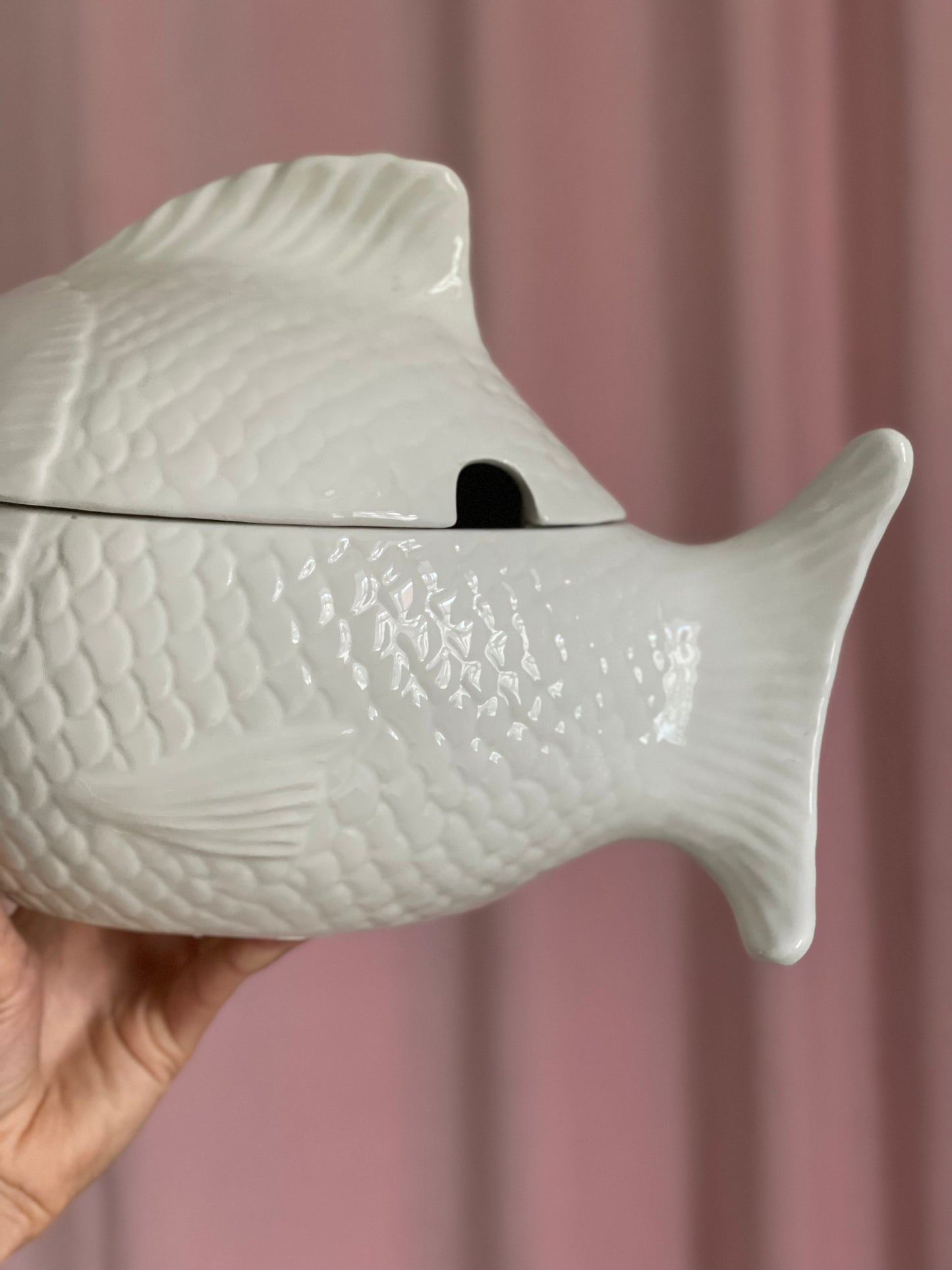 Large fish jar