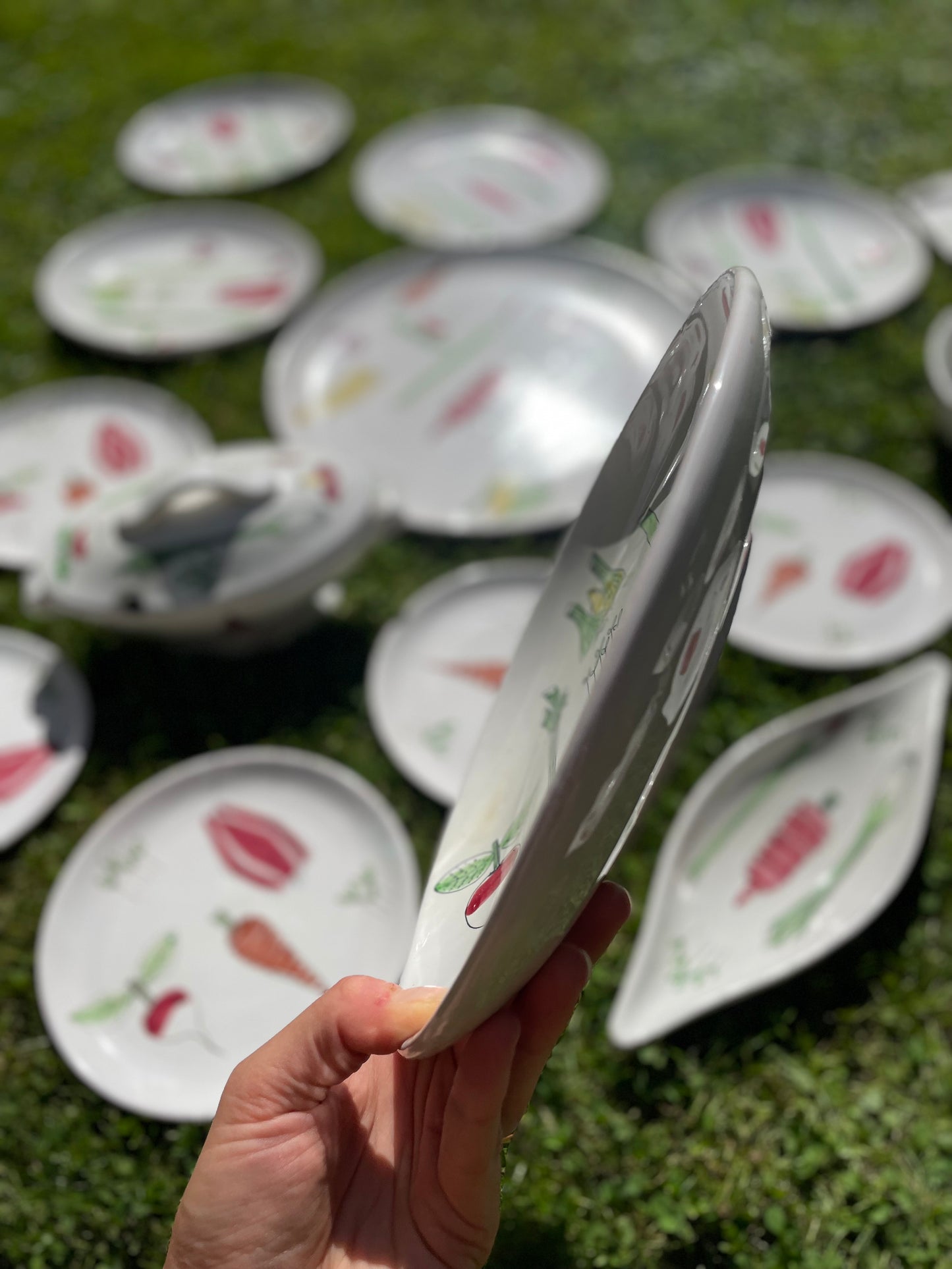 Dinner plates with vegetables