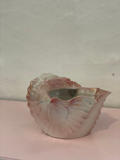 Conch in mother of pearl