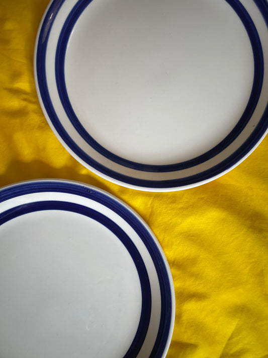 Striped blue dinner plates