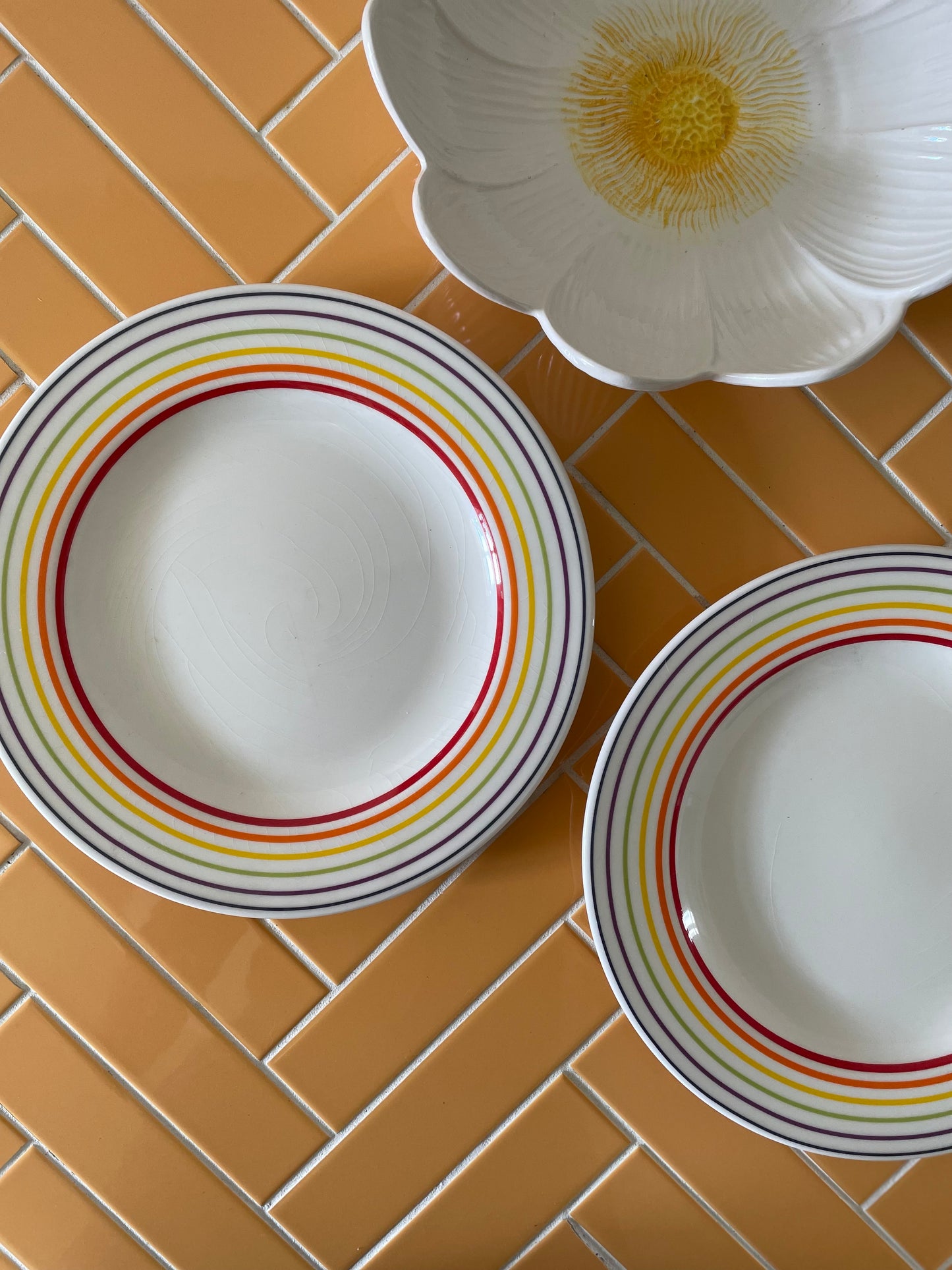 Plates with rainbow edge