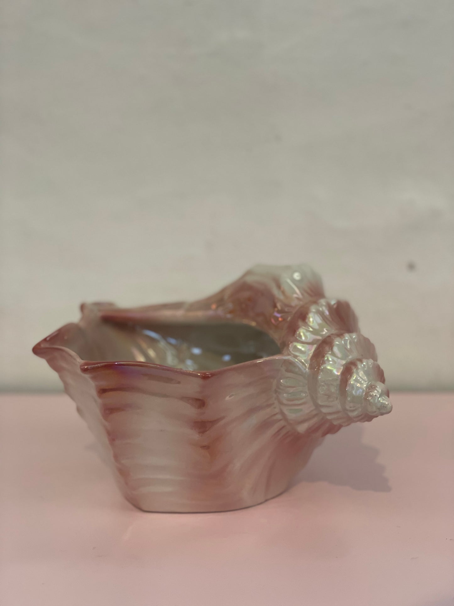 Conch in mother of pearl