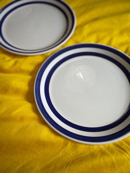 Striped blue dinner plates