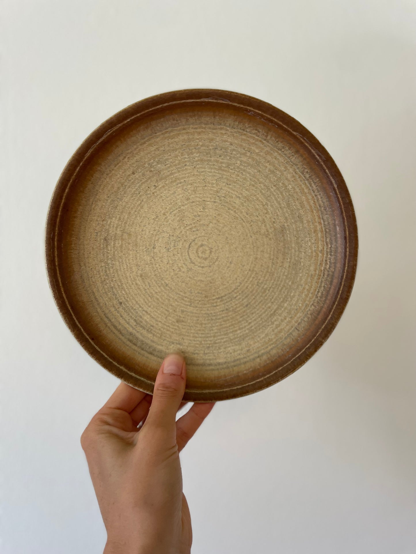 Lunch plates in earthenware