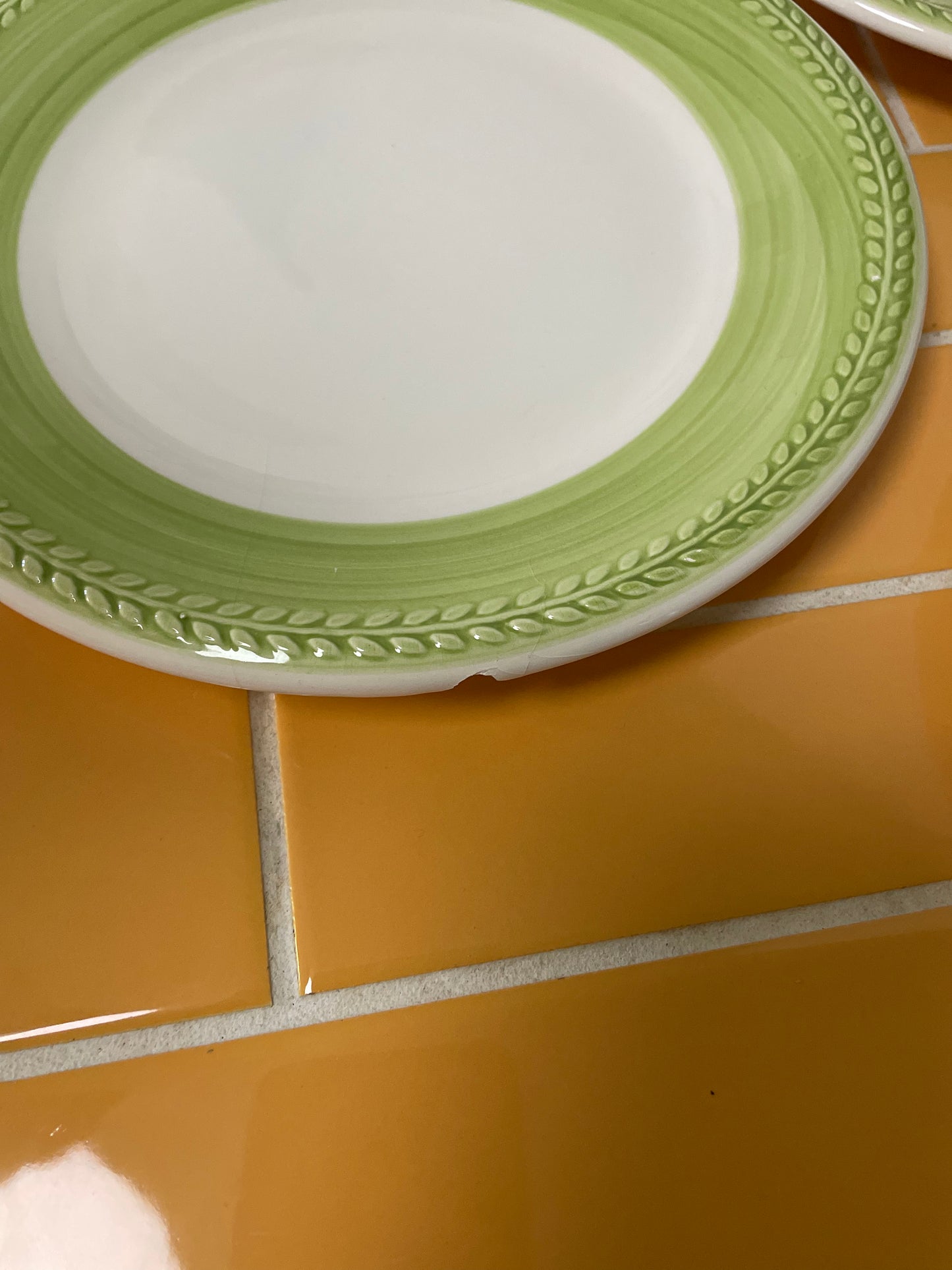 Italian lunch plates with green rim
