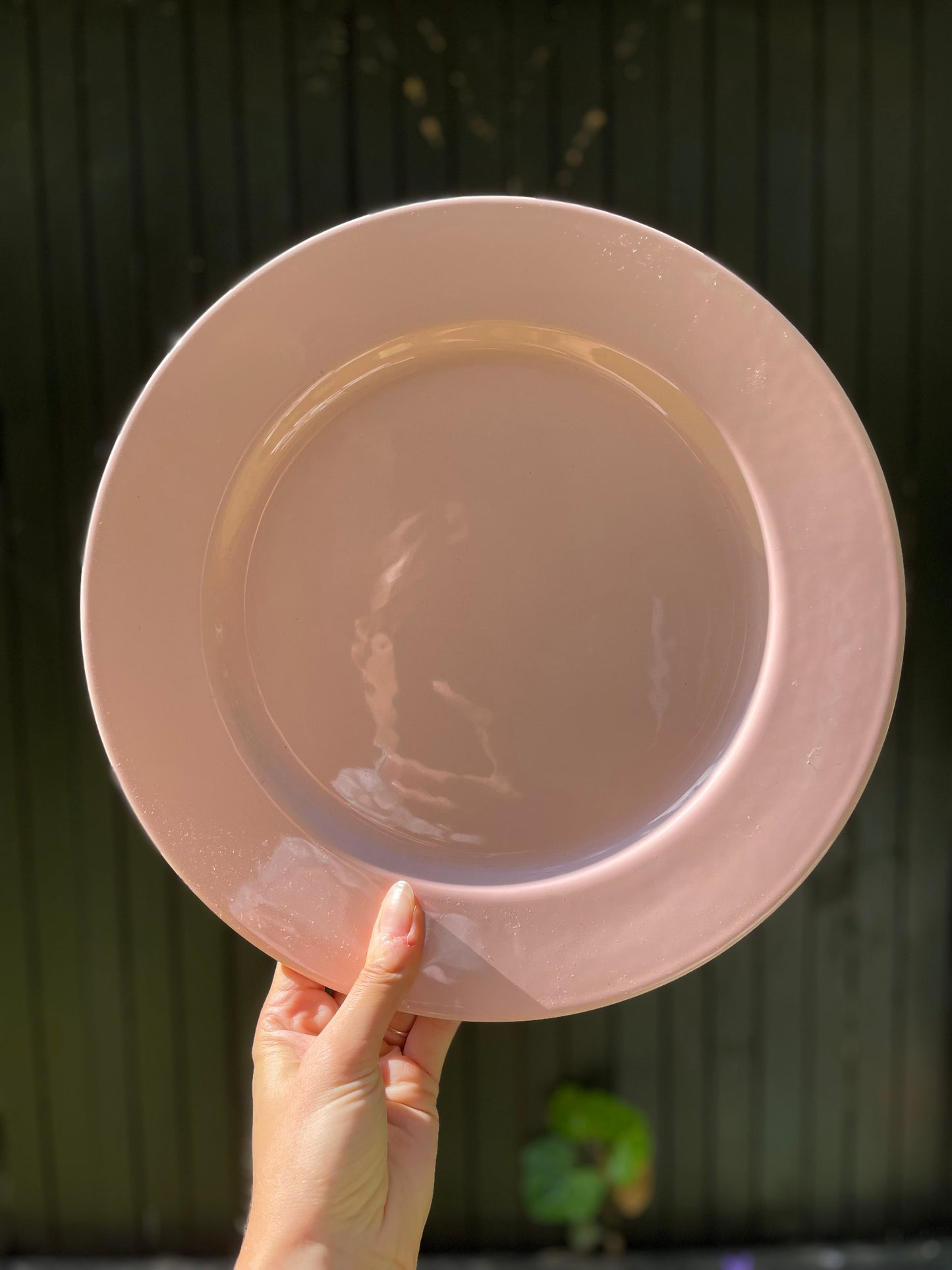 Light pink large plate