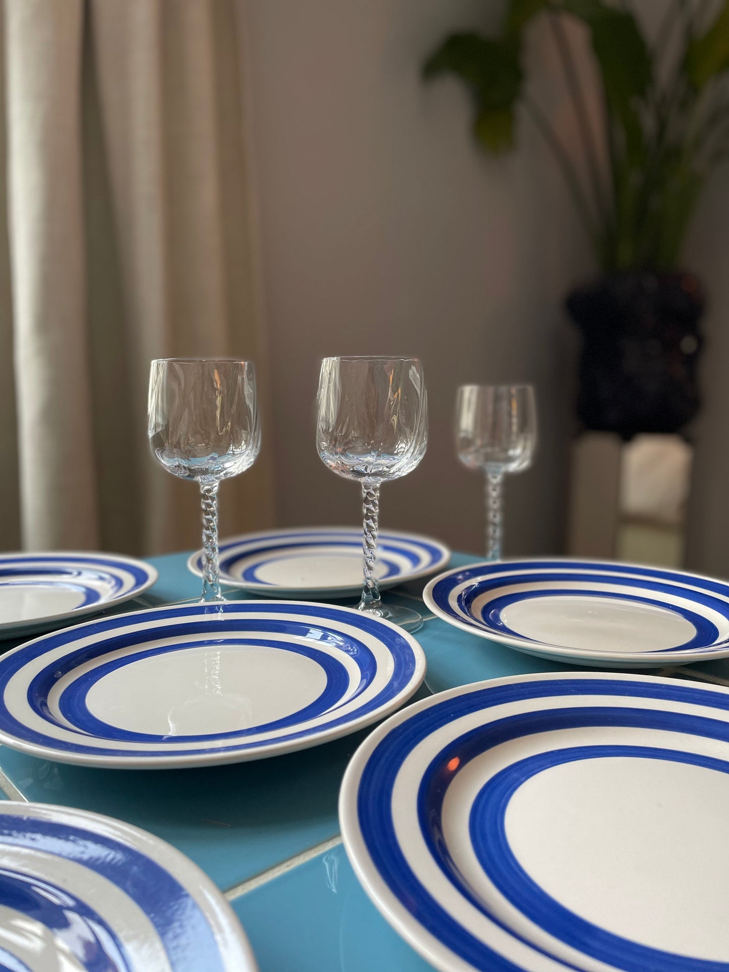 Lunch plates with blue stripes on the edge