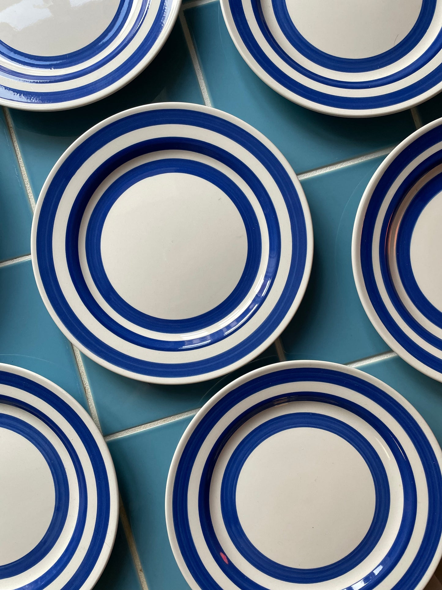 Lunch plates with blue stripes on the edge