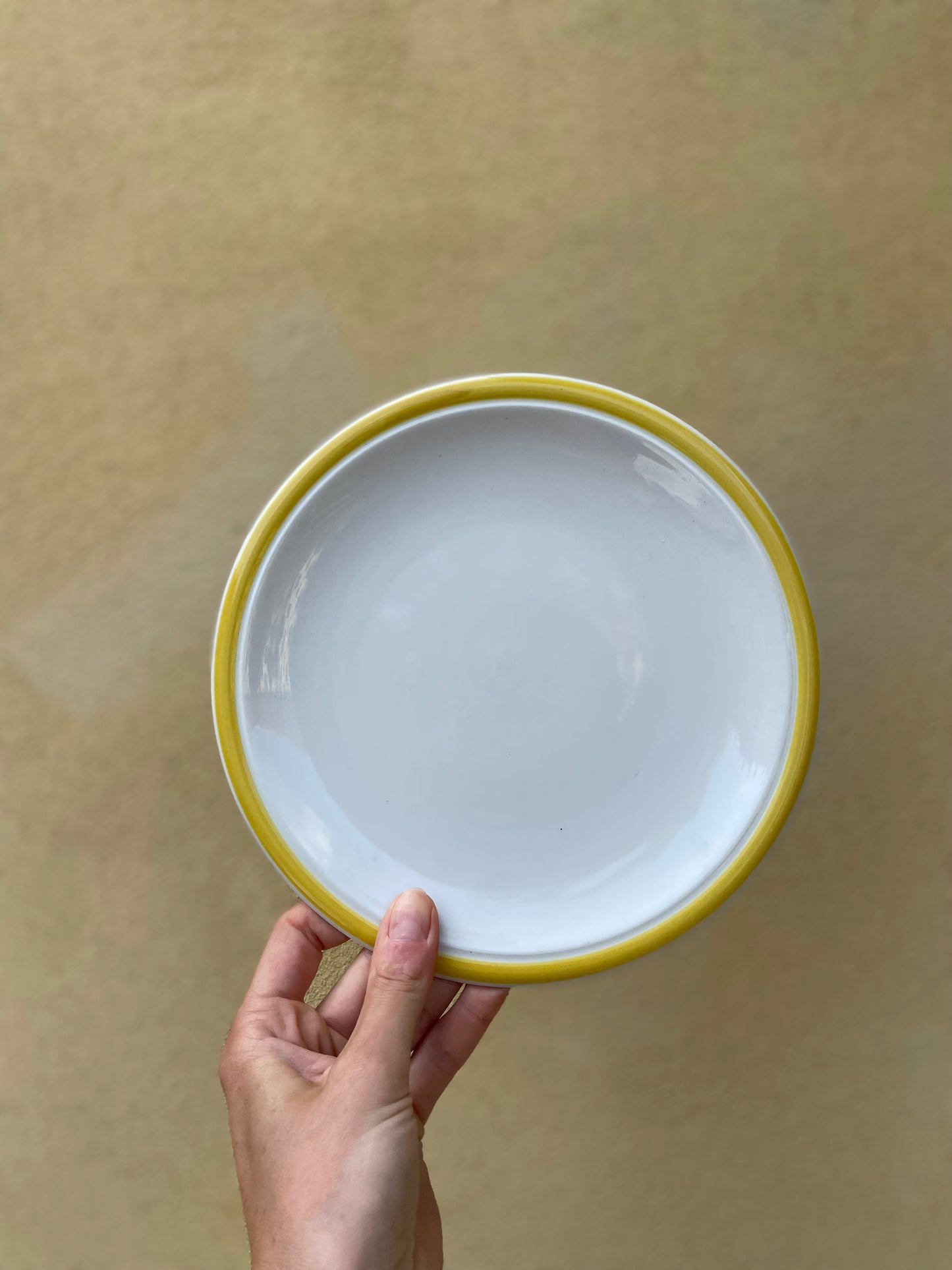 Lunch plates with yellow rim