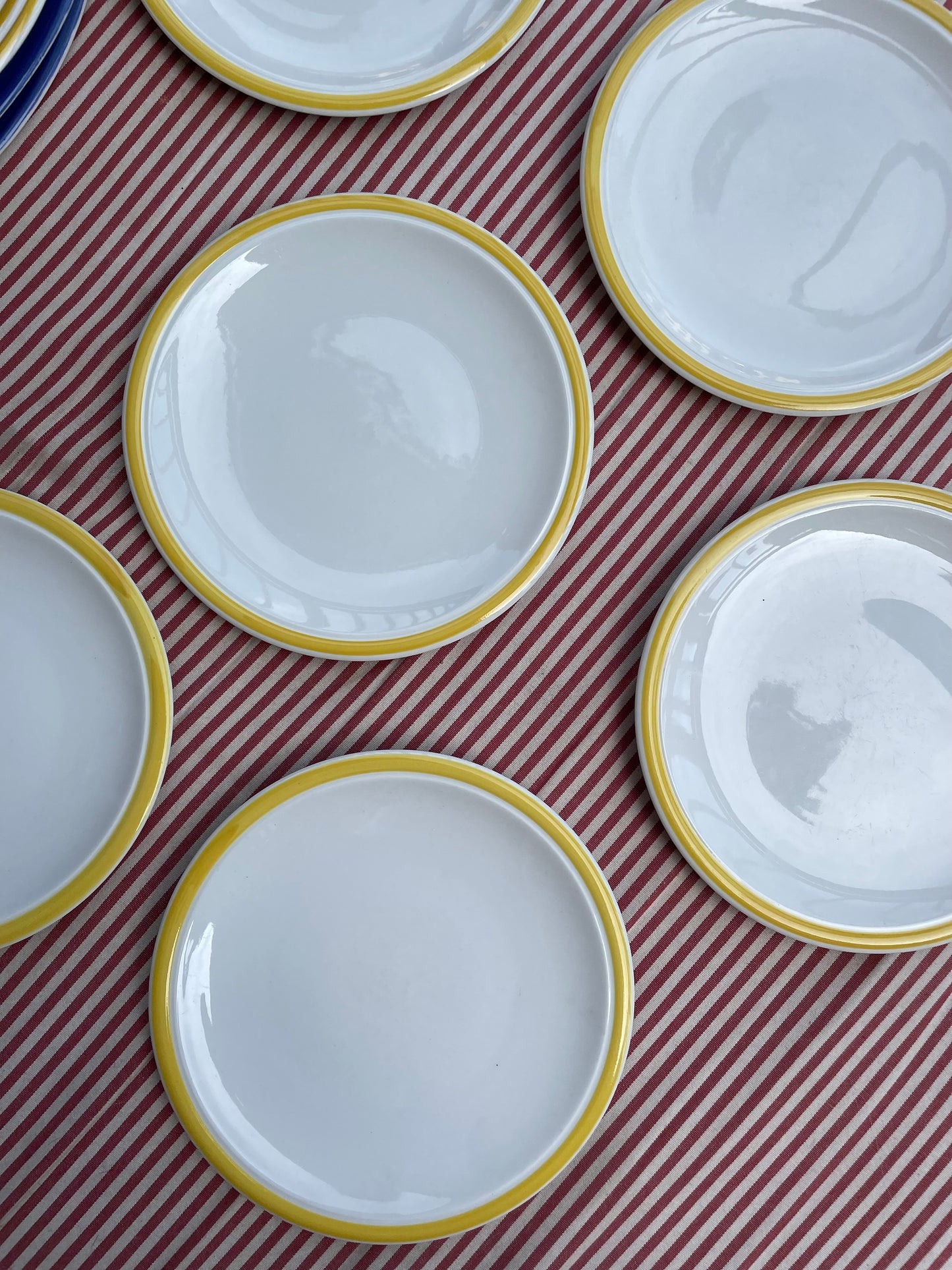 Lunch plates with yellow rim
