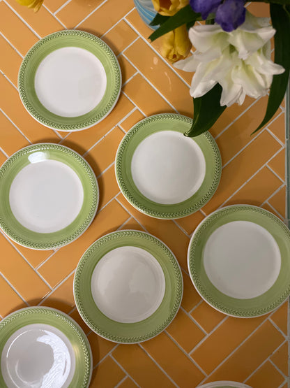 Italian lunch plates with green rim
