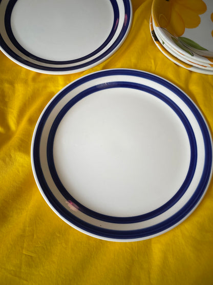 Striped blue dinner plates